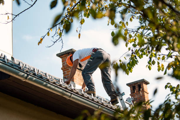 Best Roof Waterproofing Services  in Long Beach, WA